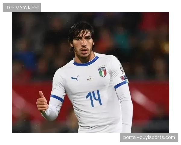 桑德罗-托纳利未来成疑,纽卡中场或寻求新挑战 桑德罗-托纳利未来成疑,纽卡中场或寻求新挑战